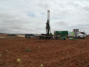 La mano del hombre enturbiando el esplendor del girasol manchego.